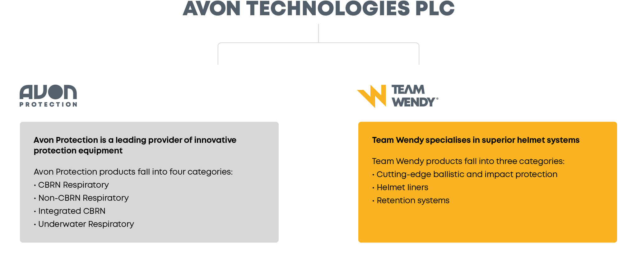 Avon Technologies PLC corporate structure showing subsidiary brands Avon Protection for CBRN respiratory gear and Team Wendy for ballistic helmet systems.